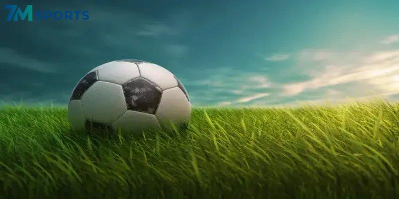 Nhiều lựa chọn cược đa dạng thú vị