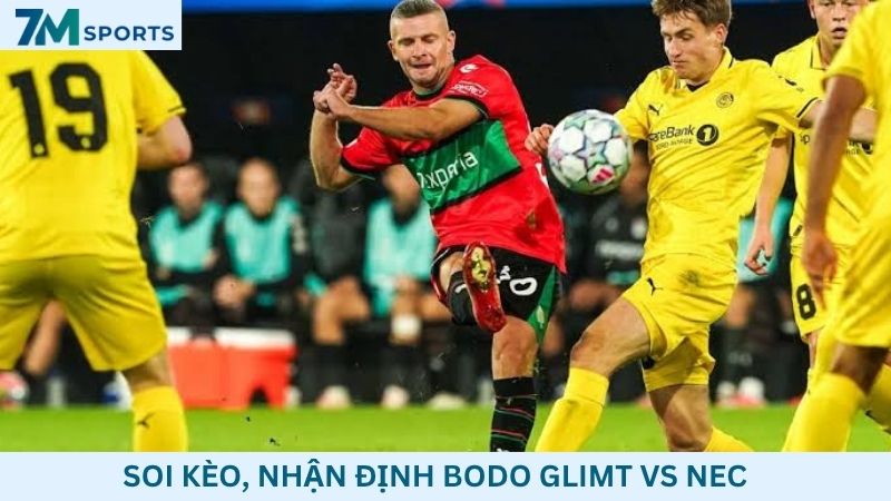 Soi kèo Bodo Glimt vs NEC